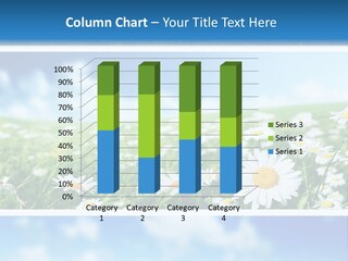 Sunlight Camomile Nobody PowerPoint Template