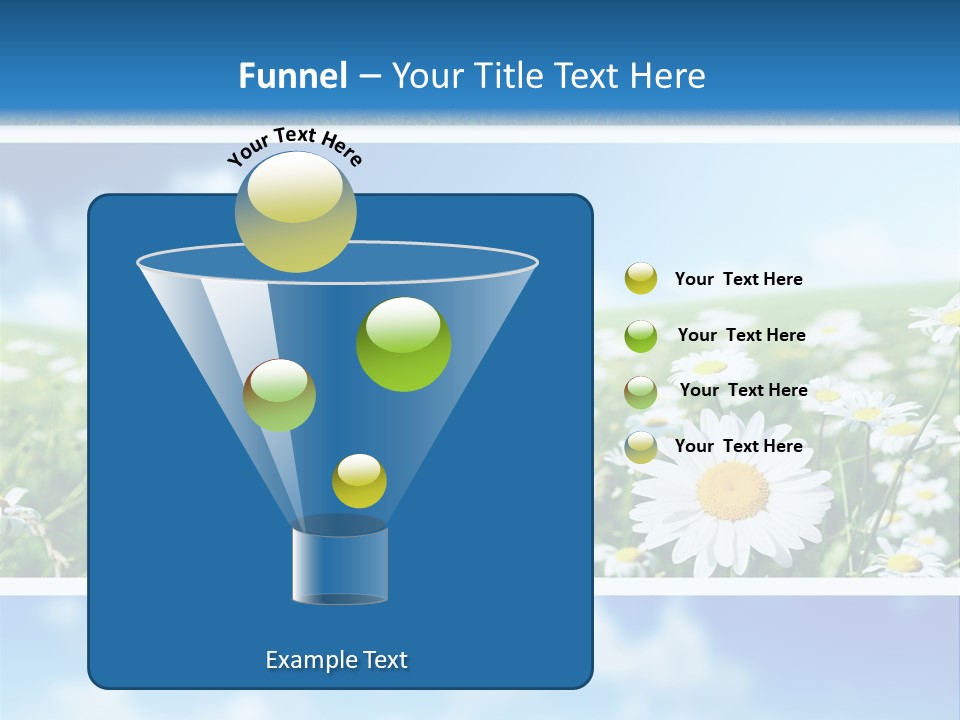 Sunlight Camomile Nobody PowerPoint Template