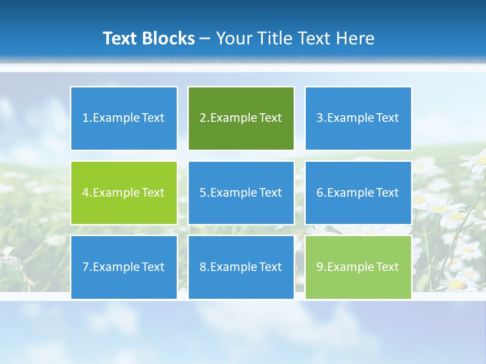 Sunlight Camomile Nobody PowerPoint Template