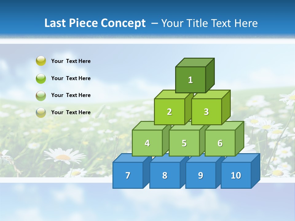 Sunlight Camomile Nobody PowerPoint Template