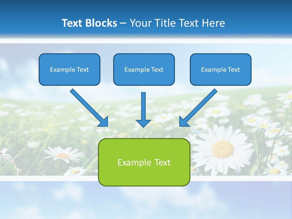 Sunlight Camomile Nobody PowerPoint Template