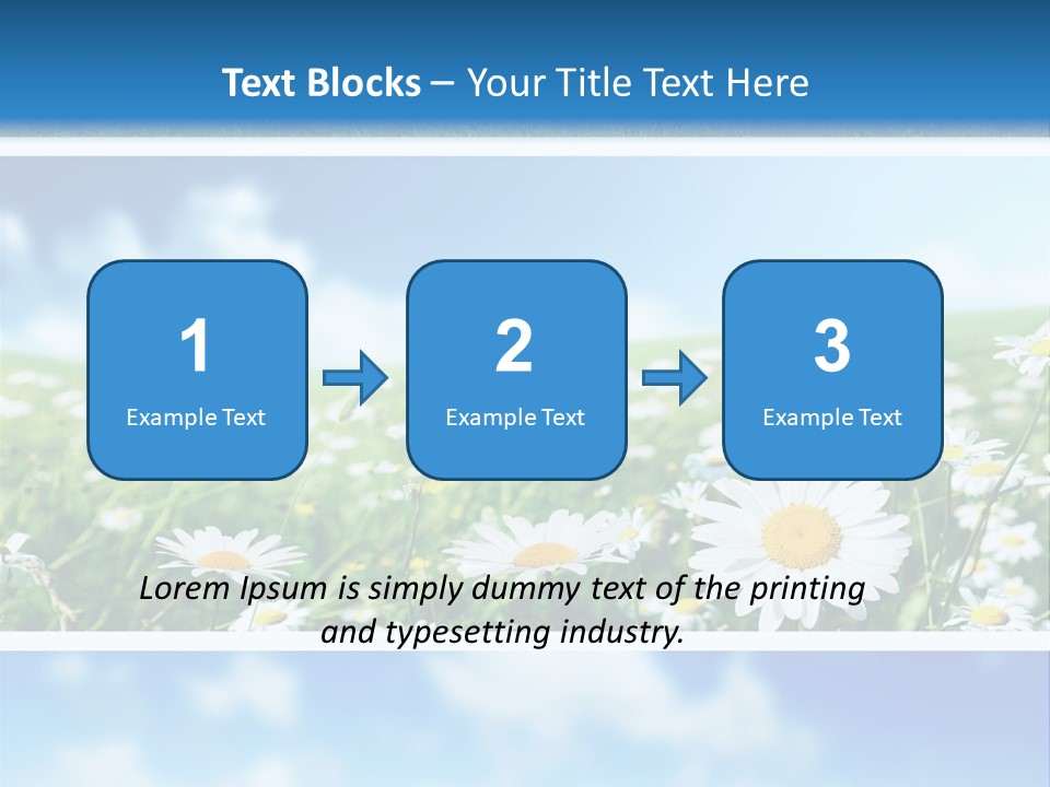 Sunlight Camomile Nobody PowerPoint Template