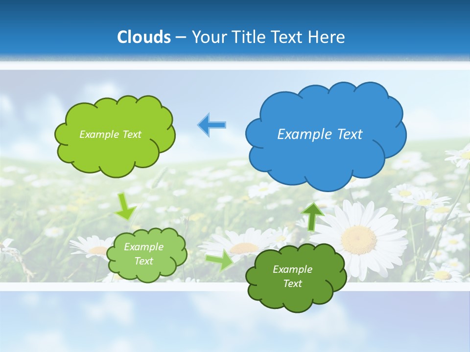 Sunlight Camomile Nobody PowerPoint Template