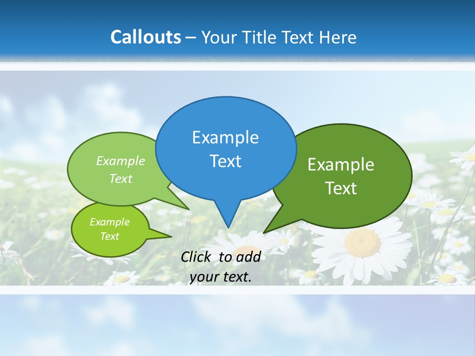 Sunlight Camomile Nobody PowerPoint Template