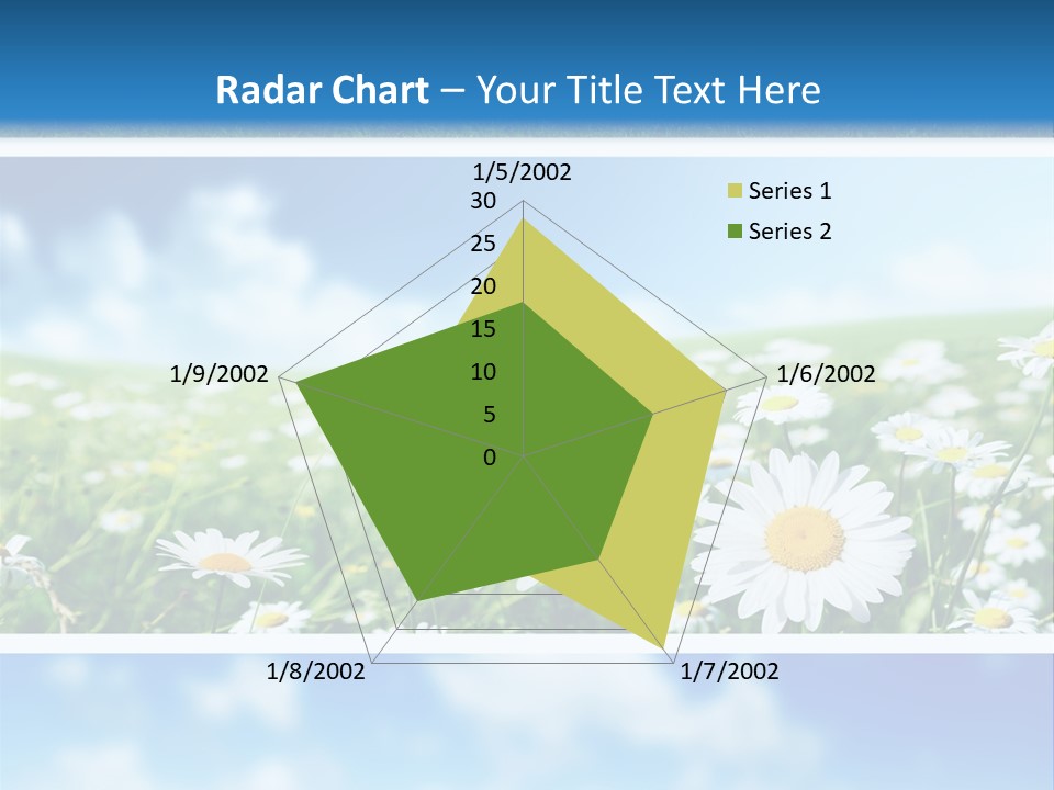 Sunlight Camomile Nobody PowerPoint Template