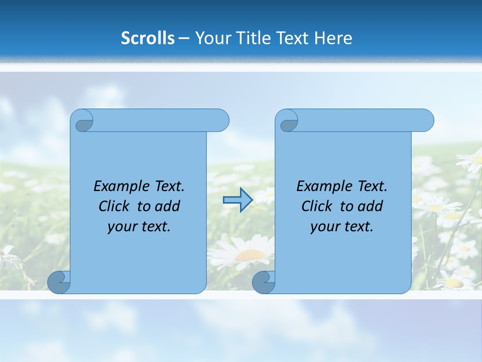 Sunlight Camomile Nobody PowerPoint Template