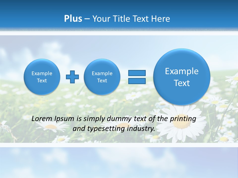 Sunlight Camomile Nobody PowerPoint Template