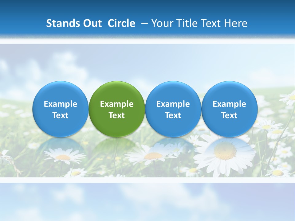 Sunlight Camomile Nobody PowerPoint Template