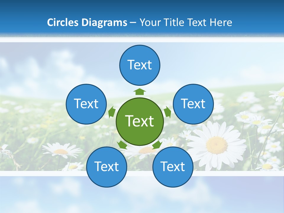 Sunlight Camomile Nobody PowerPoint Template