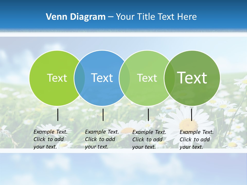 Sunlight Camomile Nobody PowerPoint Template
