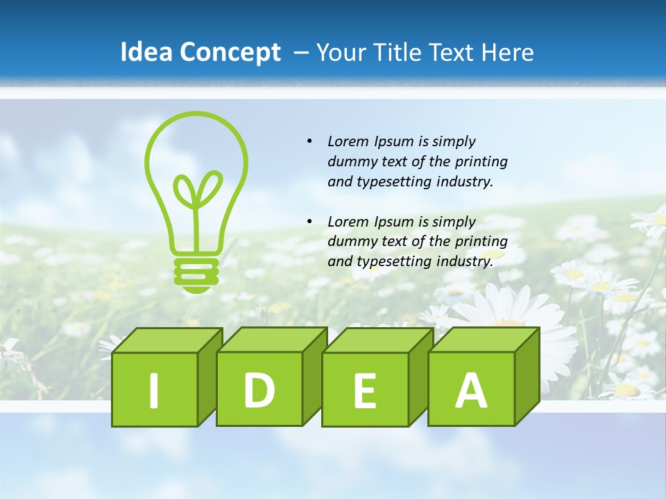 Sunlight Camomile Nobody PowerPoint Template