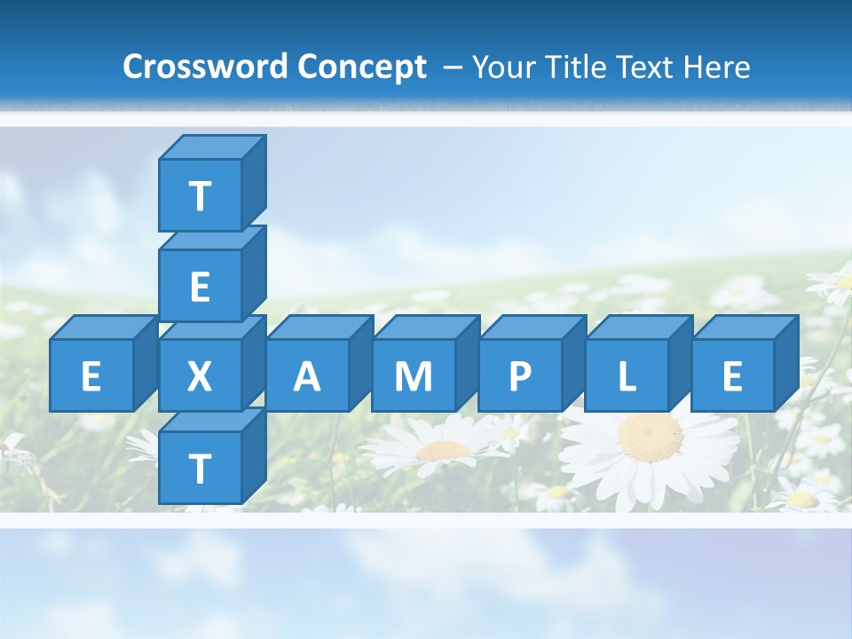 Sunlight Camomile Nobody PowerPoint Template