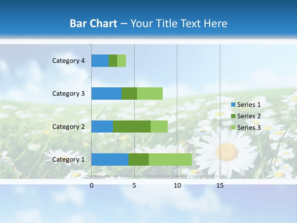 Sunlight Camomile Nobody PowerPoint Template