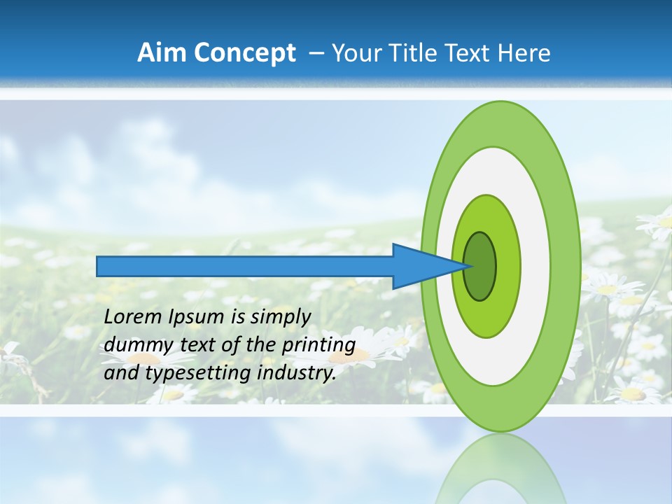 Sunlight Camomile Nobody PowerPoint Template