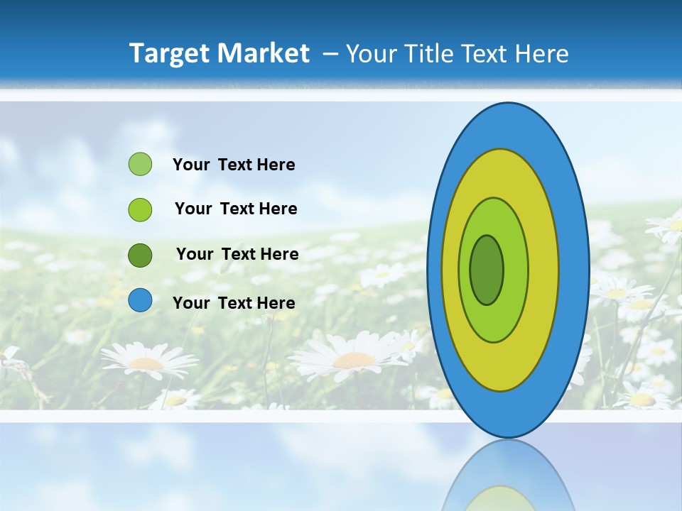 Sunlight Camomile Nobody PowerPoint Template