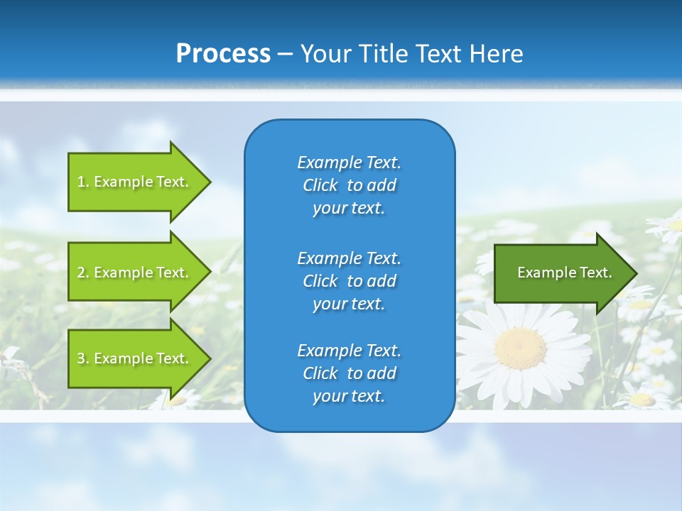 Sunlight Camomile Nobody PowerPoint Template