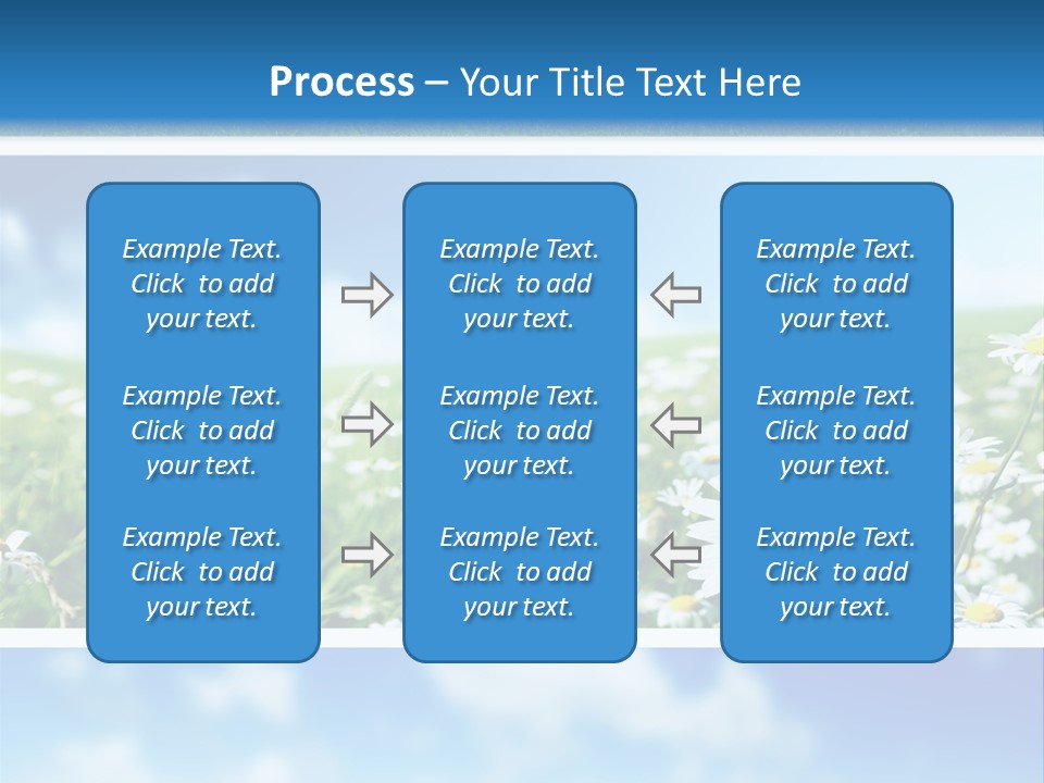 Sunlight Camomile Nobody PowerPoint Template