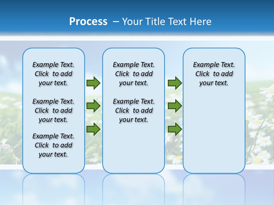 Sunlight Camomile Nobody PowerPoint Template