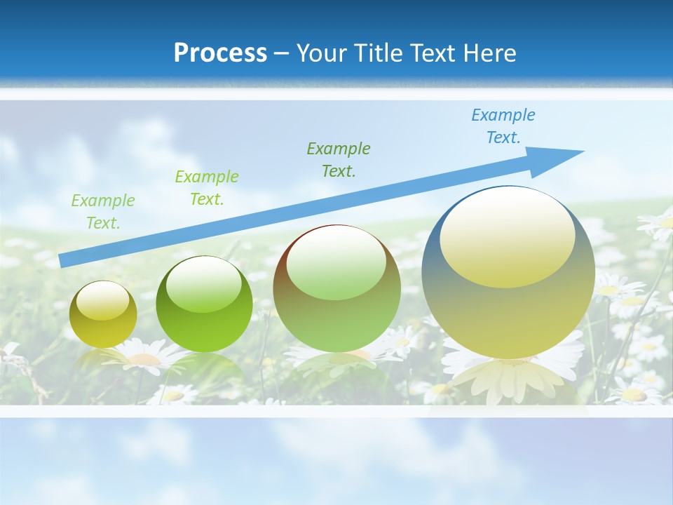 Sunlight Camomile Nobody PowerPoint Template
