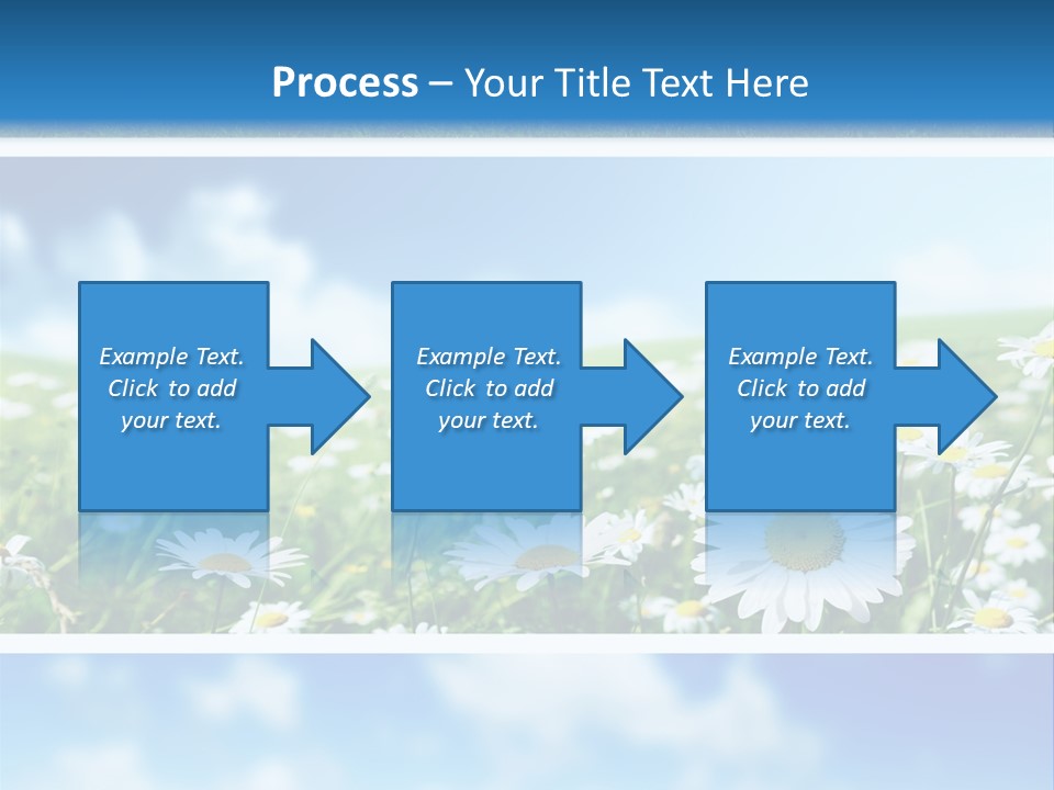 Sunlight Camomile Nobody PowerPoint Template