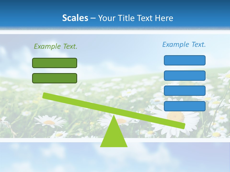 Sunlight Camomile Nobody PowerPoint Template