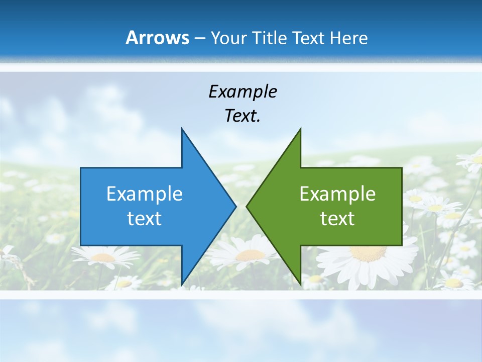 Sunlight Camomile Nobody PowerPoint Template