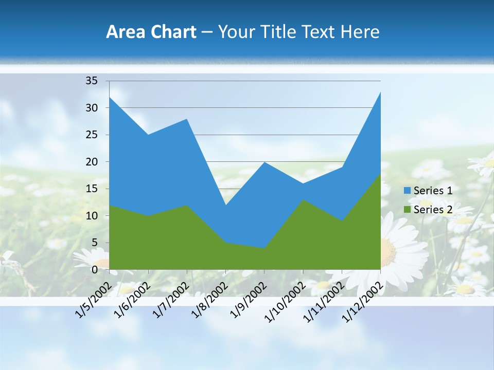 Sunlight Camomile Nobody PowerPoint Template