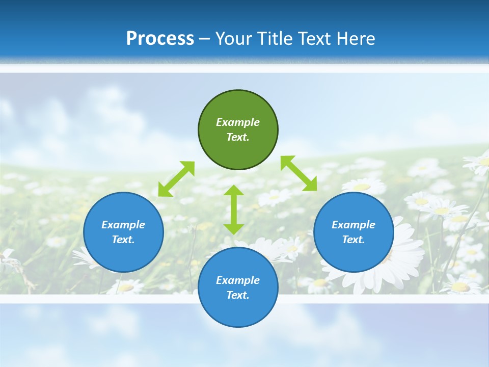 Sunlight Camomile Nobody PowerPoint Template