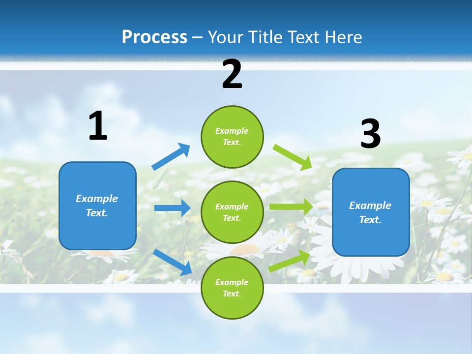 Sunlight Camomile Nobody PowerPoint Template