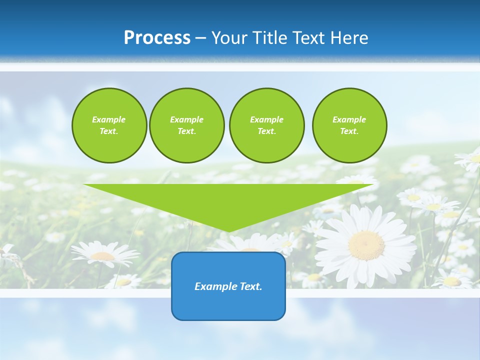Sunlight Camomile Nobody PowerPoint Template