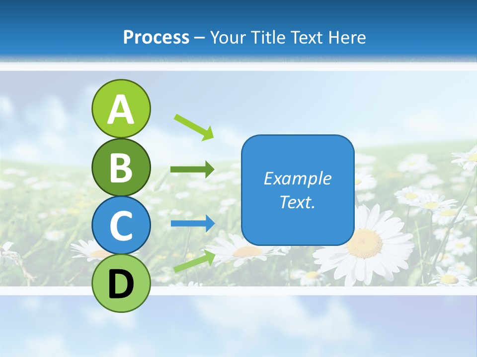 Sunlight Camomile Nobody PowerPoint Template