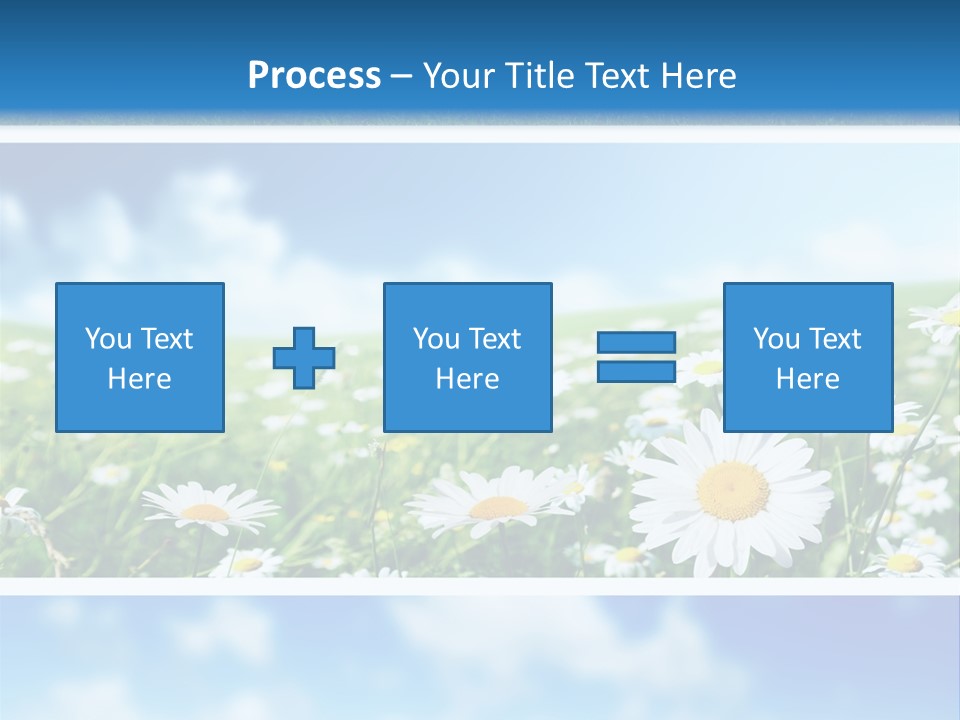 Sunlight Camomile Nobody PowerPoint Template