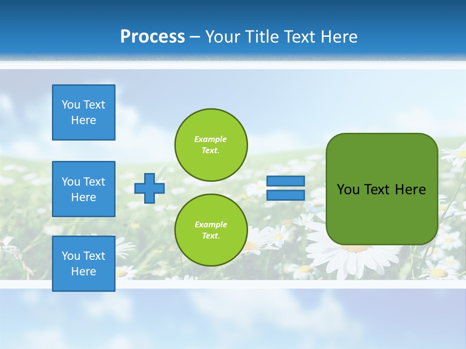 Sunlight Camomile Nobody PowerPoint Template