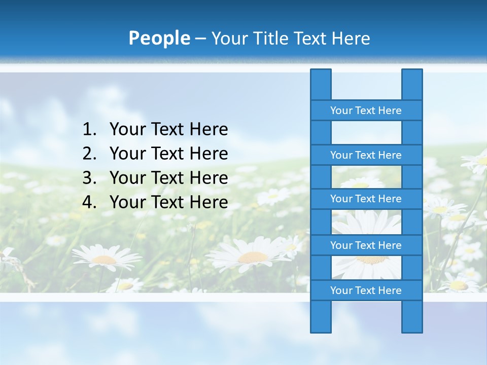 Sunlight Camomile Nobody PowerPoint Template