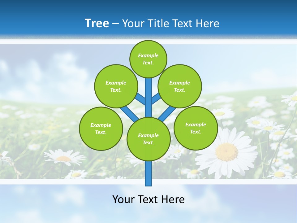 Sunlight Camomile Nobody PowerPoint Template