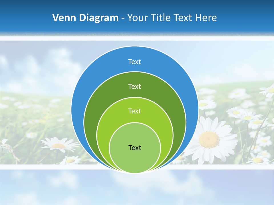 Sunlight Camomile Nobody PowerPoint Template