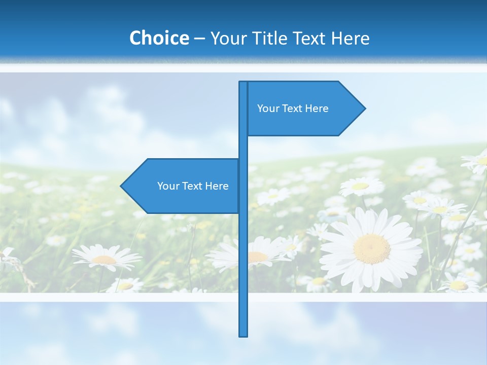 Sunlight Camomile Nobody PowerPoint Template