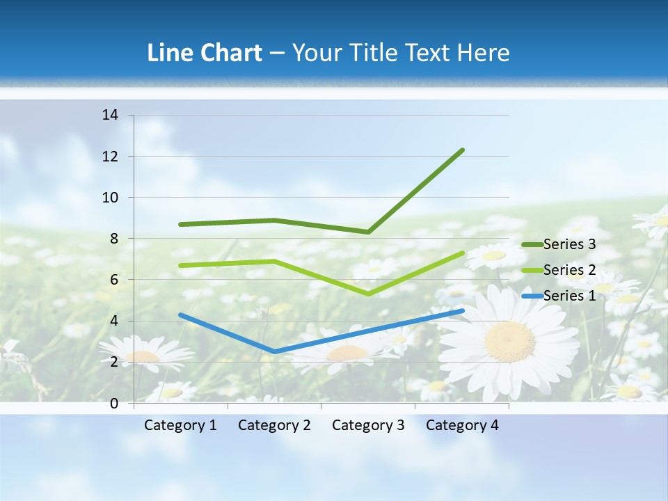 Sunlight Camomile Nobody PowerPoint Template