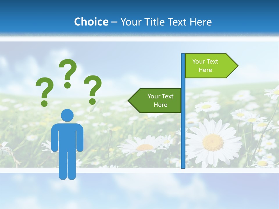 Sunlight Camomile Nobody PowerPoint Template