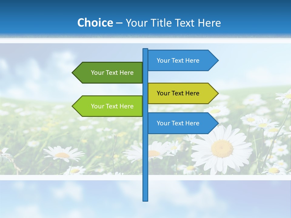Sunlight Camomile Nobody PowerPoint Template