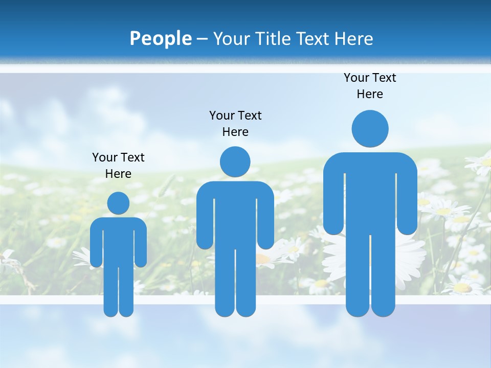 Sunlight Camomile Nobody PowerPoint Template