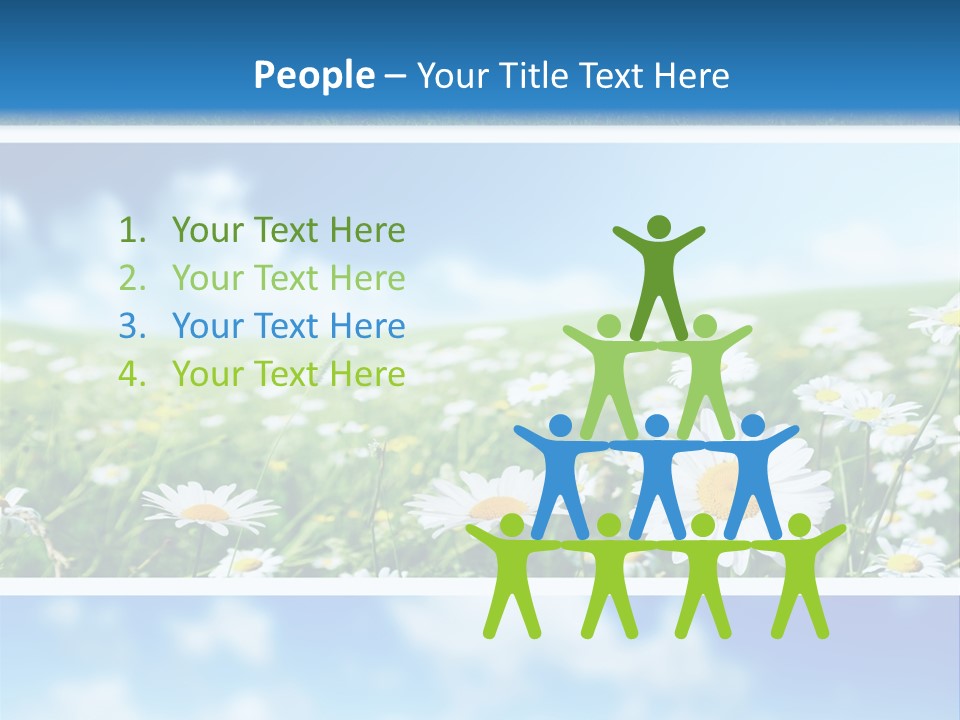 Sunlight Camomile Nobody PowerPoint Template