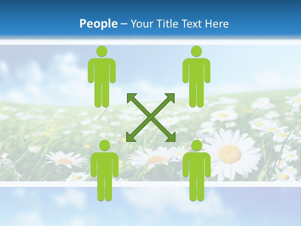 Sunlight Camomile Nobody PowerPoint Template