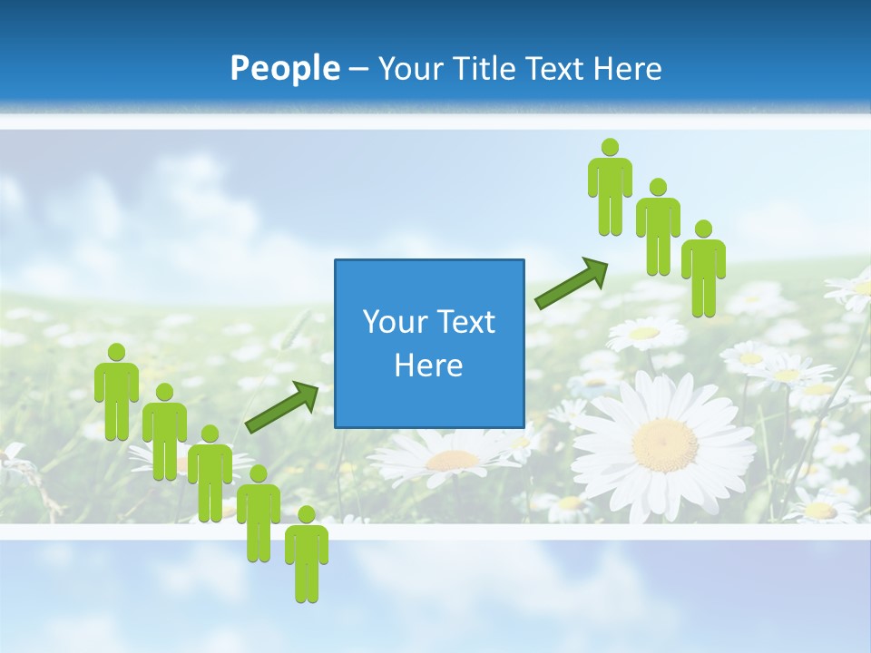 Sunlight Camomile Nobody PowerPoint Template