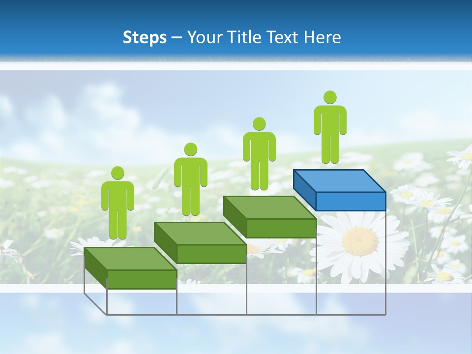 Sunlight Camomile Nobody PowerPoint Template