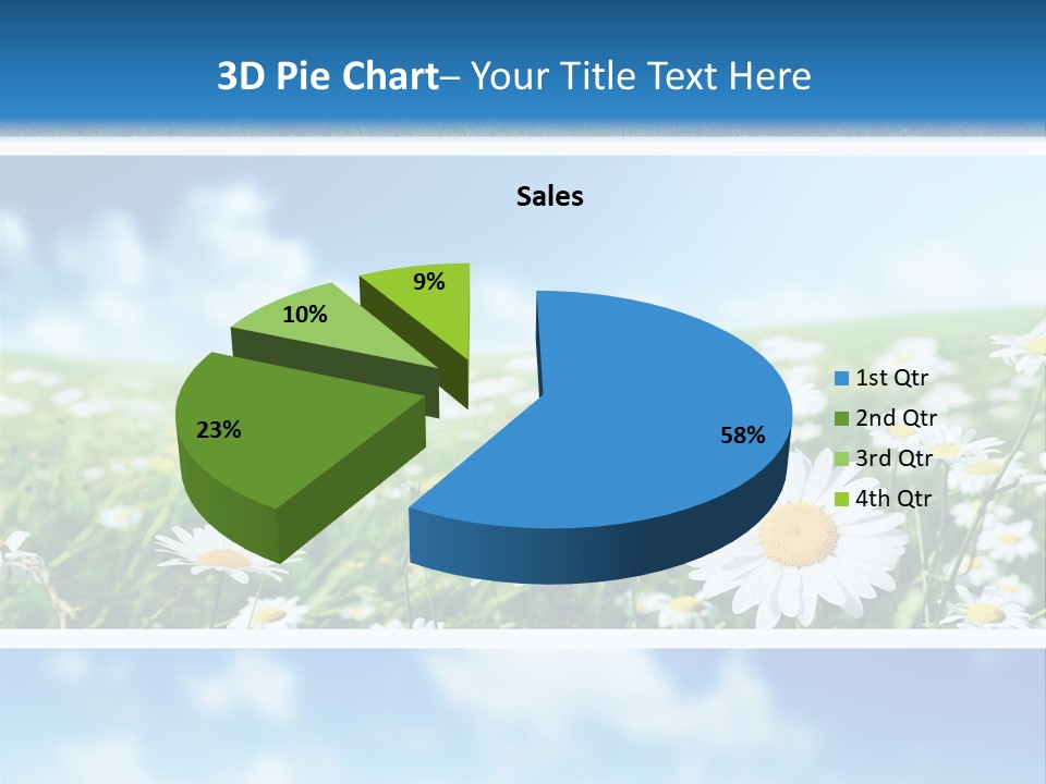 Sunlight Camomile Nobody PowerPoint Template