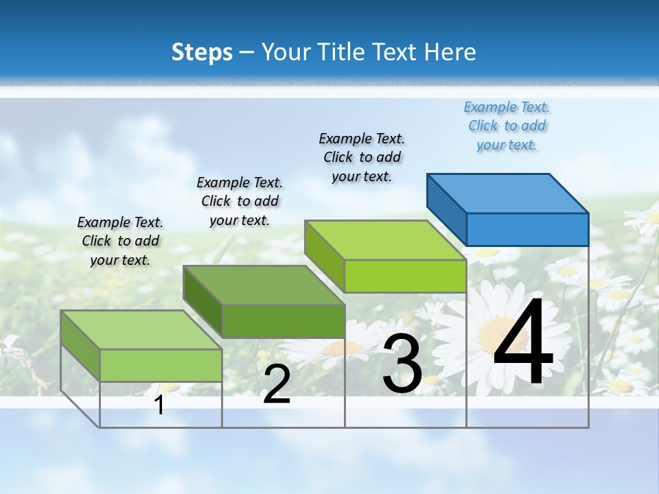 Sunlight Camomile Nobody PowerPoint Template