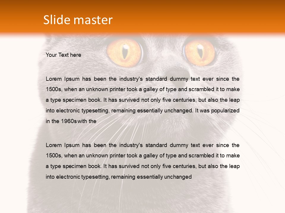 Shorthair Portrait Isolated PowerPoint Template