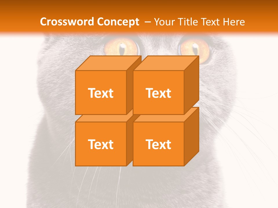 Shorthair Portrait Isolated PowerPoint Template