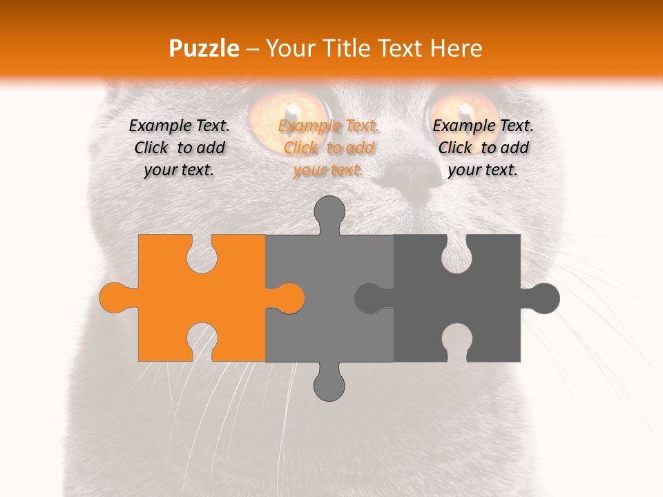 Shorthair Portrait Isolated PowerPoint Template